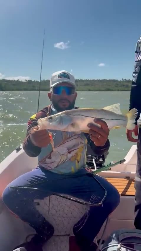 Vídeo: Mais um robalo