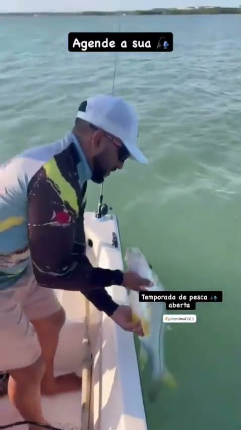 Vídeo: Fisgada no barco